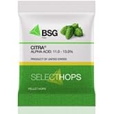 Citra Hops 1oz Pellet