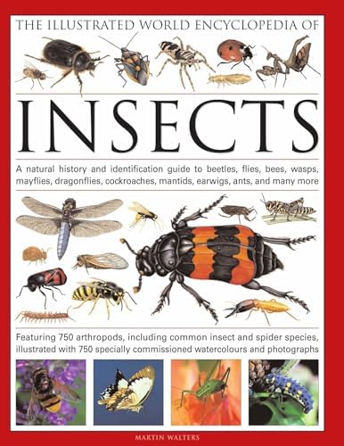 Cheating Monkeys and Citizen Bees: The Nature of Cooperation in