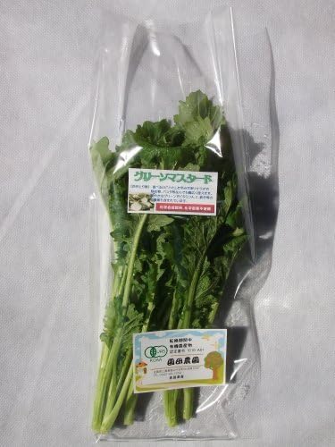 Kyushu Saga Sonoda plantation green mustard 50g (JAS organic farming)
