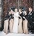 BanZhang Winter Wedding Faux Fur Shawl Wrap Bolero for Women Prom Evening Party Formal Ivory