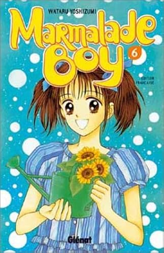 Download Marmalade Boy. Tome 6 PDF