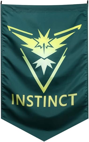 Vpuquuz Pokemon Go Team Banniere Exterieure Drapeau D Instinct Vert Instinct Amazon Fr Cuisine Maison