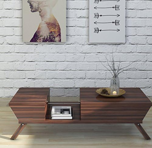 Contemporary Coffee Table with Combination of Glass and Wood (Brown)