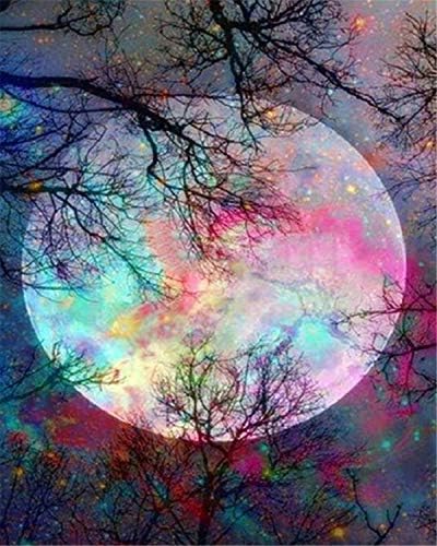 EOBROMD DIY 5D Diamond Painting by Number Kits, Full Drill Moon Embroidery Cross Stitch Arts Craft Canvas Wall Decor, 12 x 16inch