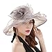 SAFERIN Women's Organza Church Kentucky Derby Fascinator Bridal Tea Party Wedding Hat