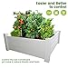 Compost Master Raised Garden Bed Square for Planter Flower Vegetables PVC Planter Boxes Outdoor Large – 48″×48″×18″/ 4x4x1.5ftthumb 1