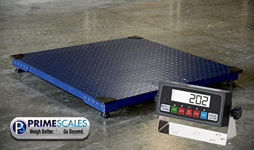 DigiWeigh 5000Lb/1Lb Floor Scale (DWP-5500R)