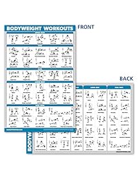 Juego de póster de anatomía con sistema muscular y ejercicios de peso corporal QuickFit   Juego de 2 gráficos laminados   Diagrama de anatomía muscular y rutina de ejercicio de peso corporal (18.0 in x 27.1 in)