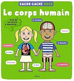 Le  corps humain