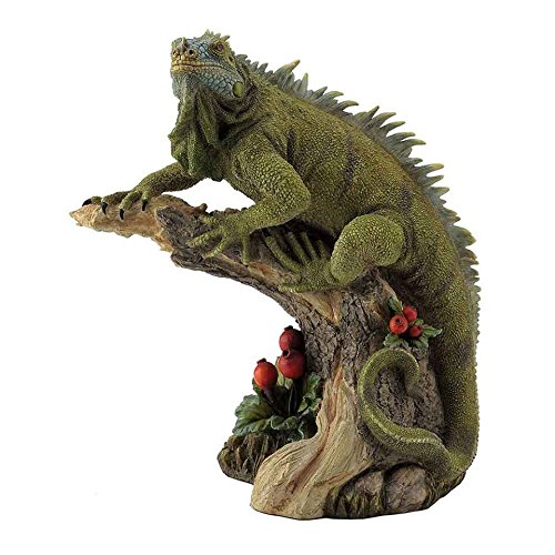Iguana Statue The Garden and Patio Home Guide