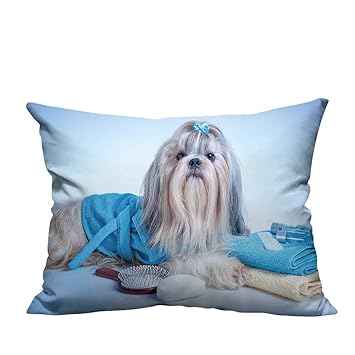 Amazon Com Decorative Couch Pillow Cases Shih Tzu Dog After