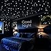 Glow in The Dark Stars Wall Stickers, 730 pcs Dots and Moon for The Galaxy, Gifts for Kids Bedding Room or Birthday, Wall Decals by Airbin, Lighten The Love of Your Heart