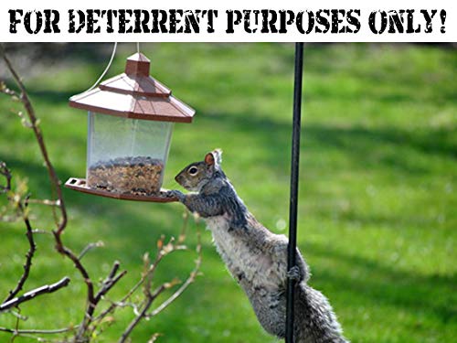 3 25+Feet+Real+Barbed+Wire