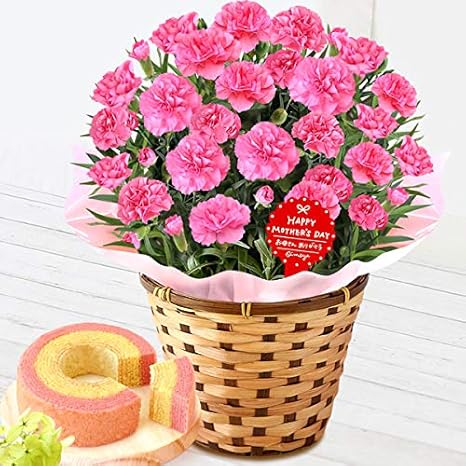 Amazon 母の日 カーネーション 5号鉢 花コラボ バウムクーヘン 花とスイーツ 花鉢 生花 母の日のプレゼント フラワーギフト ピンク 観葉植物 オンライン通販
