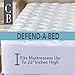 Classic Brands Defend-A-Bed Ultimate Bamboo-Rayon Quilted Waterproof Mattress Protector, Queen