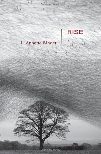 Rise: Stories (Mary McCarthy Prize in Short Fiction)