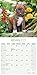 American Pit Bull Terrier Calendar - Dog Breed Calendars - 2018 - 2019 Wall Calendars - 16 Month by Avonside