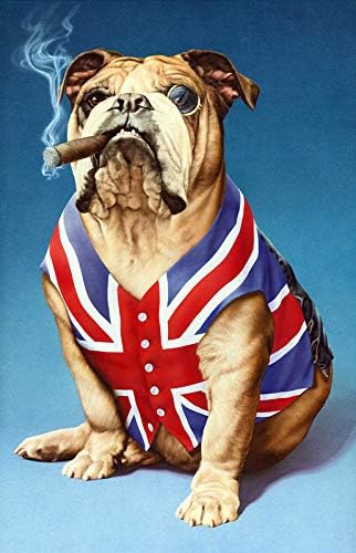 Diartop 5D Diamond Painting Kit by Number British Bulldog Andrew Farley Full Drill Diamond Painting Kit Home Wall Decor