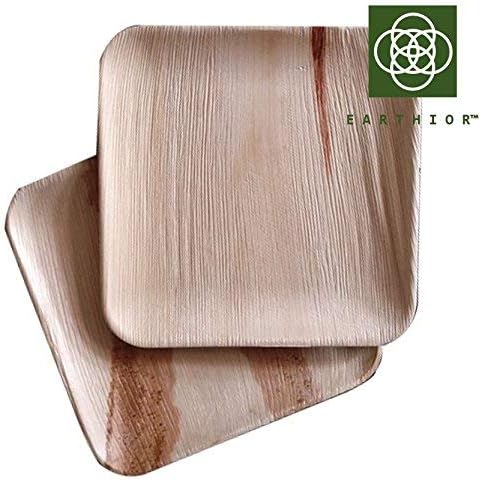 Set of 10 Square 10'' Eco Dinner Plates Multi-use & Disposable Party Plates