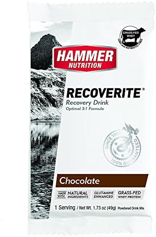 Hammer Nutrition Recoverite Flavor Chocolate 12 Count Box, Single Packets