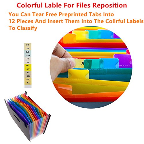 12 Pockets Expanding File Folder with Labels,A4 Size Colorful file organizer Portable Desktop Business Paper Document Holder Wallet for Home Office School Hospita (12 pocket)