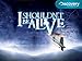 I Shouldn't Be Alive Season 3