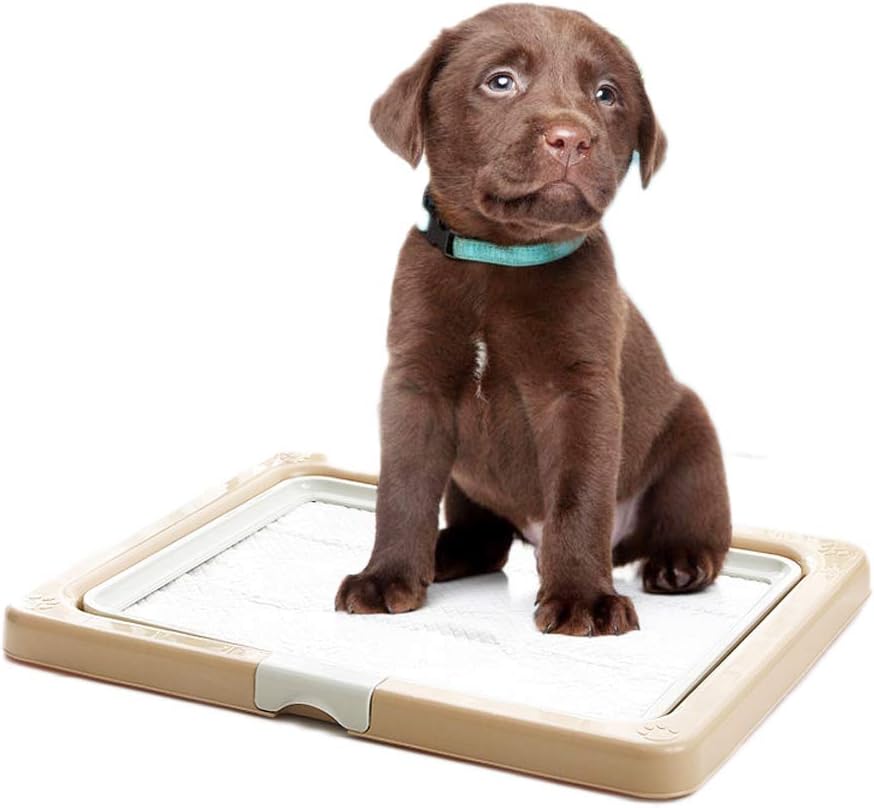 best portable dog potty