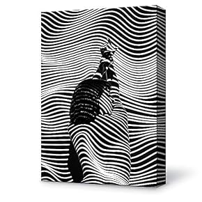 SIGNFORD Canvas Wall Art Abstract Women Art Bathroom...