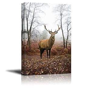 Beautiful Red Deer Stag in Foggy Misty Forest Landscape in Autumn Fall Wood Framed - Canvas Art Wall Art - 18" x 12"