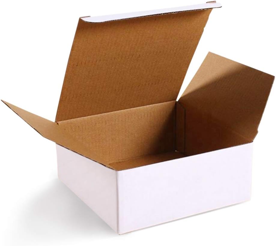 SAI White Corrugated Literature Box Mailer 4x3x2 Inch (Pack of 10)