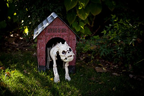 Crazy Bonez Skeleton Dog - Bonez The Dog - //coolthings.us