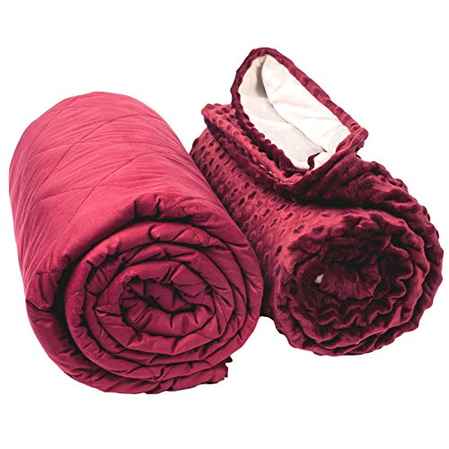 Aviano Premium Weighted Blanket for Adults or Couples 30 lbs with Removable Duvet Cover