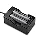 TANSOREN 18650 3000mAh 3.7V Rechargeable Lithium Batteries and Fast Li-ion Charger