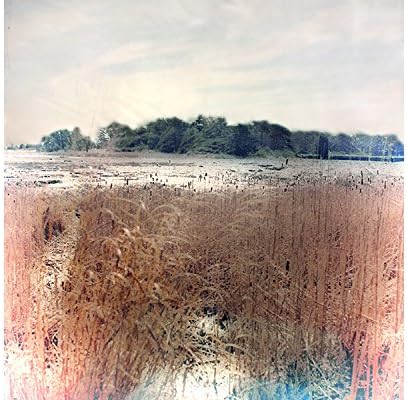 Marsh Landscape Photograph
