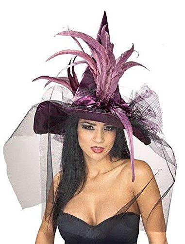 Rubie's Costume Co Prple Witch Hat with Feather Costume