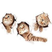 3D Wall Decals Stickers Vivid Decors Murals (Cat) | Easy to Peel Easy to Stick Safe on Painted Walls | Cute Catty Decor Posters for Nursery Room, Toilet, Kitchen, Offices etc. (40X60CM) Guang-T