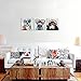 3 Piece Animal Canvas Art Abstract Frog Gorilla Dog Print on Rustic Wood Background Picture Framed Paintings Wall Art for Home Decor 12”x12”x3