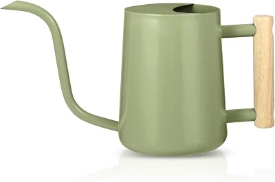 GUKJOB Watering Can Indoor Plants 35oz Stainless Steel Long Spout Sage