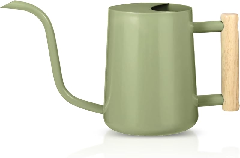 GUKJOB Watering Can Indoor Plants 35oz Stainless Steel Long Spout Sage