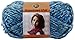 Lion Brand Yarn 135-211 Hometown Yarn, Jersey Gardens (1 Skein)