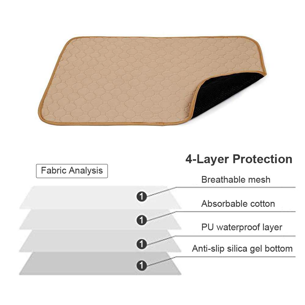View 2