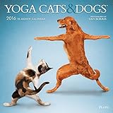 Yoga Cats and Dogs 2016 Wall Calendar