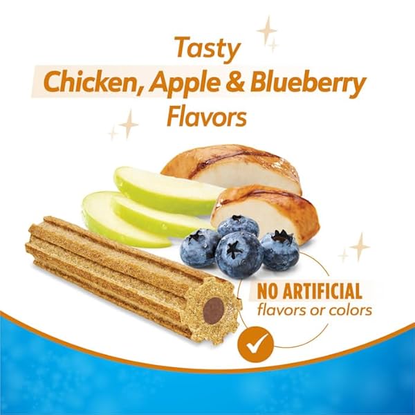 DENTALIFE PLUS IMMUNE SUPPORT CHICKEN APPLE AND BLUEBERRY FLAVOR LARGE DOG DENTAL CHEWS 22.6 OZ. COUNT OF 19