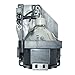 AuraBeam Economy Replacement Projector Lamp for Sony LMP-H160 with Housing
