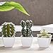 MyGift 4-inch Assorted Artificial Cactus Plants, Mini Fake Desert Plants in White Square Pots, Set of 3