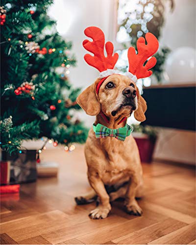image for Malier Dog Collar with Bow tie Christmas Classic Plaid Dog Collar with