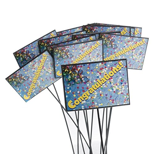 Factory Direct Craft Group of 12 Floral Embellishing Acrylic 