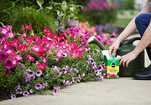 Miracle-Gro 1001233 All Purpose Plant Food - 5 Pound, 2 Pack