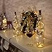 Icicle Wine Bottles String Lights, 8 PCS 4.92ft 15 LED Battery Artificial Cork Copper Wire Fairy Starry String Lights for Centerpieces, Jars, Vase, Bar, Indoor Studio Decorations(Warm White)