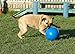 BOOMER BALL 6 inch, Virtually Indestructible Best Dog Toy, Boredom Busting Football, Tough & Durable Medium Dog Ball, Floats on Water, Great for Mental Stimulation & High Energy Dogs, Assorted Colours